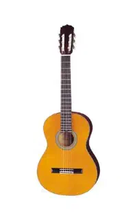گیتار آریا مدل AKN-15N