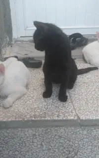 فروشی ۱۵۰۰۰۰۰۰