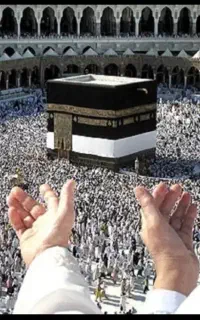 فروش حج واجب دیماه ۸۶