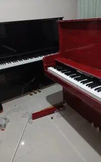 باکس طرح آکوستیک