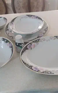 ظروف پذیرایی