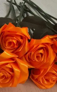 گل خشک نشدنی