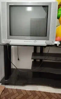 تلفزیون