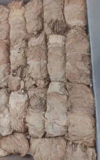 برگ زرد درجه 1