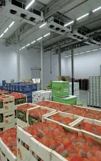 زمین با مجوز ساخت سرخانه ۳ هکتار