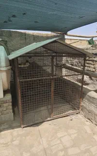قفسه آهنی سگ مرغ کفتر