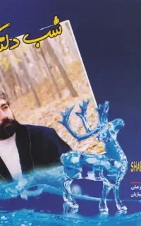 آلبوم شب دلتنگی از حسین زمان AUDIO CD