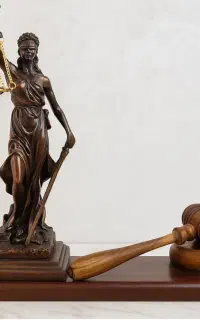 وکیل دادگستری بوشهر
