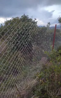فنس کشی و احداث باغ