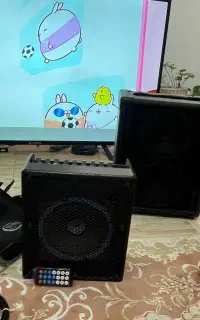 اکو آمپلی‌فایر شارژی نوید الکترونیک + باکس اسپیکر