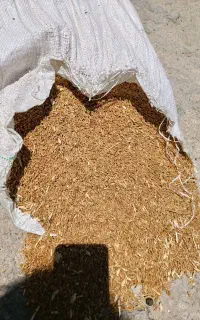 گندم ساورز