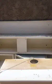 هود کابینت
