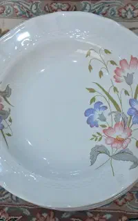 بشقاب خورشت خوری