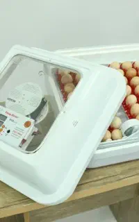 دستگاه‌های جوجه‌کشی خانگی و صنعتی