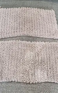 پادری