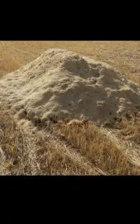 خرید و فروش کاه گندم