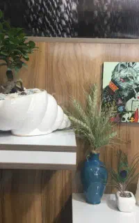 فروش تابلو پوشاک ست