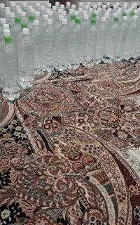 گلاب دو آتیشه کاشان