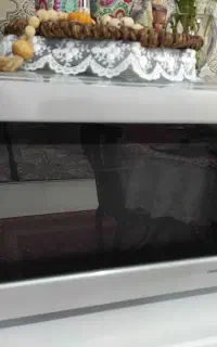 ماکروفر ال جی