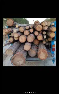 خریدار ضایعات چوب آهن آلات تیرچوبی درخت