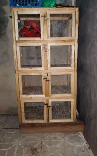 کبوتر