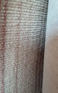 موکت ظریف مسور