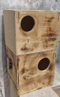 لونه کوتوله