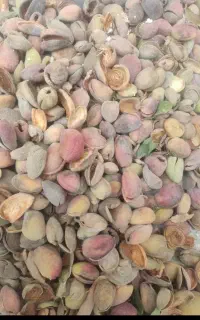 پوست بادام