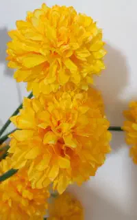 گل مصنوئی داوودی