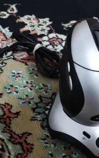 موس
