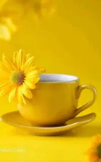 فال قهوه ارمنی ایچینگ&لنورماند