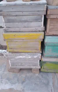 صندوق زنبورعسل کندو