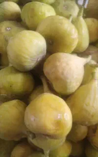 انجیر فروشیی