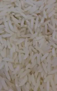 برنج دم سیاه اعلا فارسیان