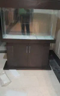 ۱ عدد آکواریوم