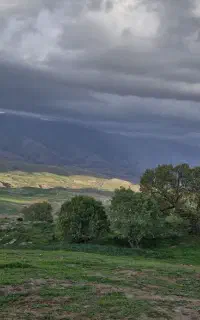 حمل مسافر از آبدانان به تهران ۲/۲۹