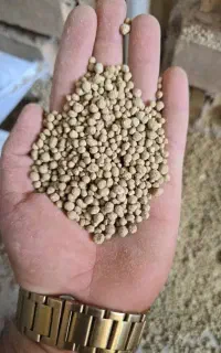 گوگرد معدنی هلدینگ رضایی