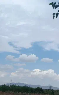 خط تلفن ثابت