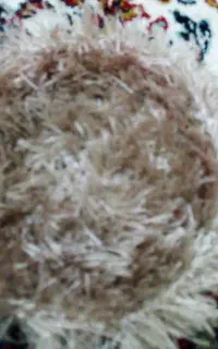 اسکاج ولیف