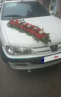 پژوپارس ۱۴۰۳