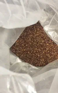 پخش قهوه نیترو