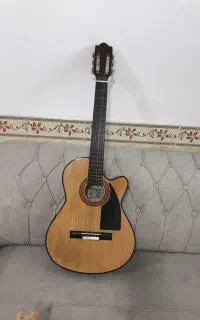 گیتار sheyda