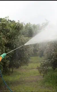 سمپاشی گیاه مزارع باغات