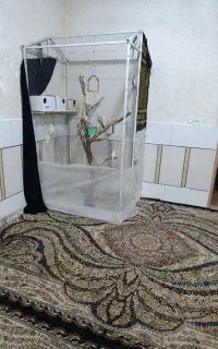 قفس فروشی