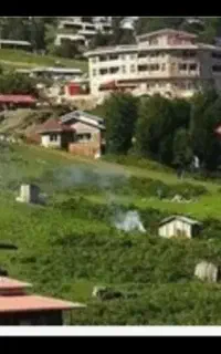 تور وچارتر