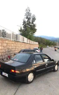 پژو ۴۰۵ تقویت شاستی پلم بی رنگ فنی ب شرط