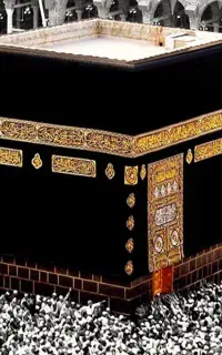 ۲عدد فیش حج عمره