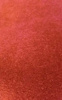 موکت پالاز 24متر
