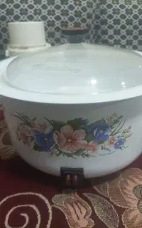 پلوپز آرام پز در حدنو خردکن درحد
