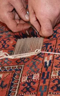 قالیشویی پایدار